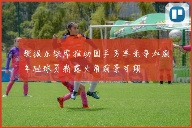 樊振东缺席推动国乒男单竞争加剧年轻球员崭露头角前景可期