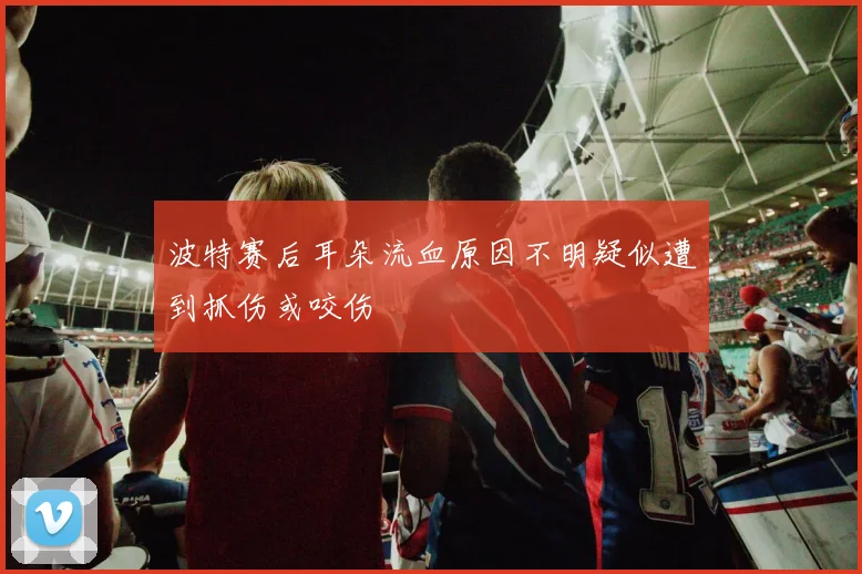 波特赛后耳朵流血原因不明疑似遭到抓伤或咬伤