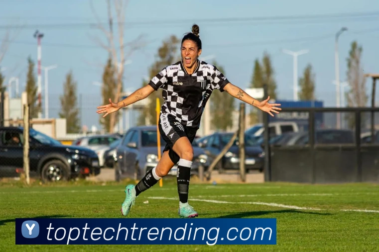 奖项证书
